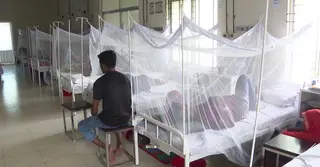 চট্টগ্রামে ডেঙ্গুতে নারী-শিশুর বেশি মৃত্যু